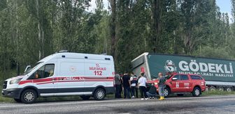 Erzurum'da ağaçlara çarpan tırın sürücüsü öldü