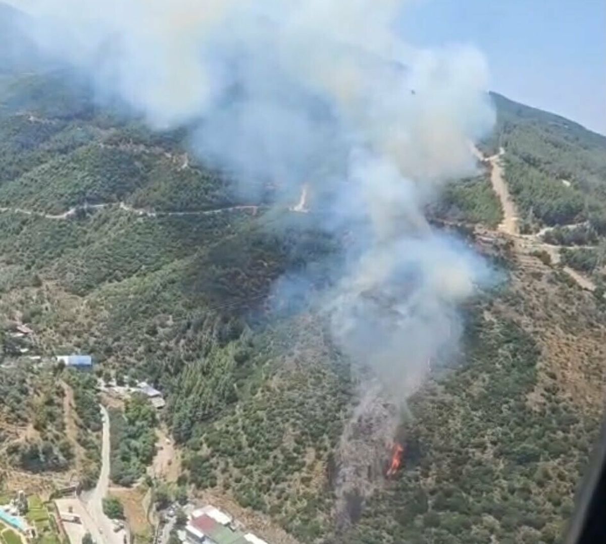 İzmir'de orman yangını