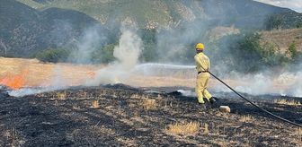 Kastamonu'da çıkan anız yangını söndürüldü
