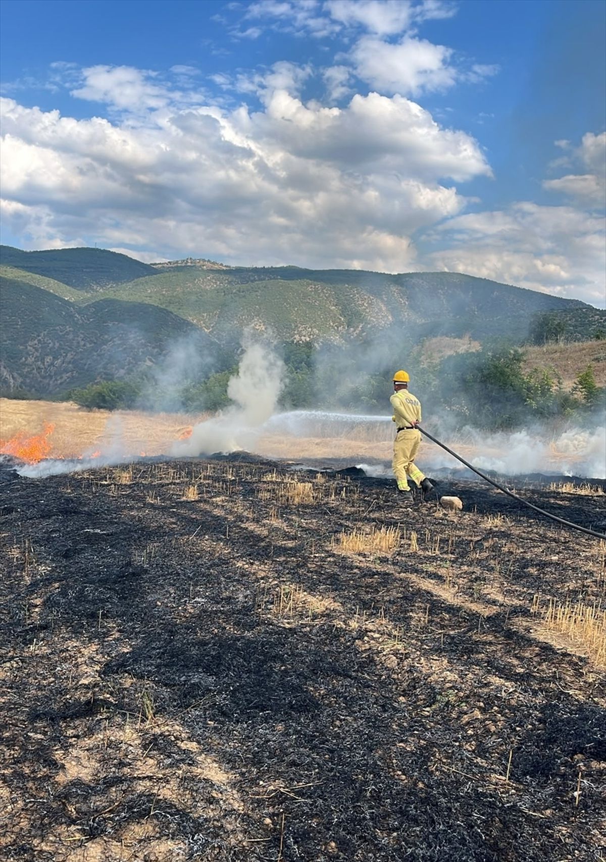 Kastamonu'da çıkan anız yangını söndürüldü