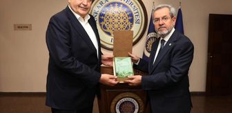 Nallıhan'dan kısa kısa