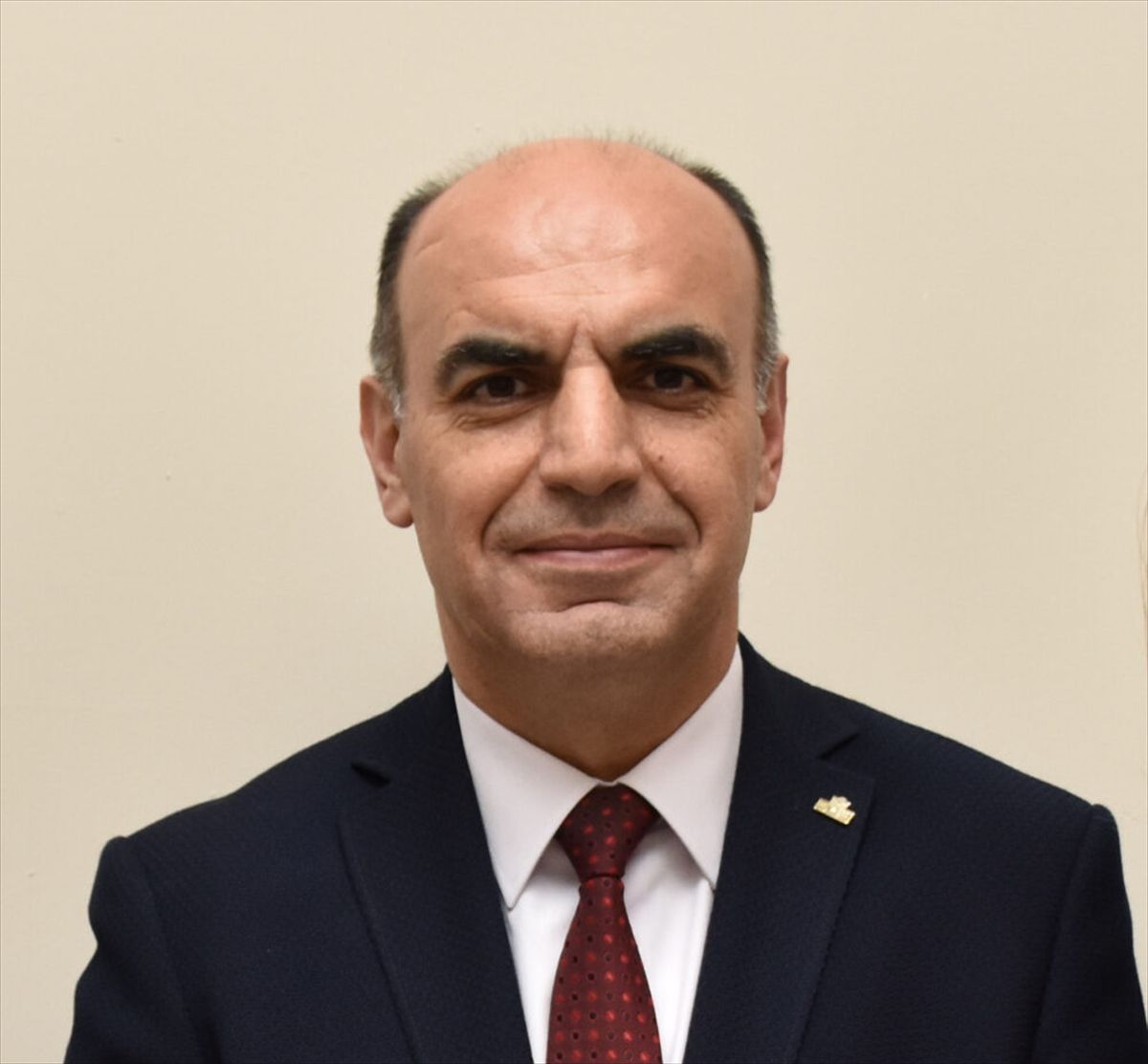 Sapanca Gölü'ndeki yeşil alg oluşumunun su kalitesini etkilemediğini bildirdi