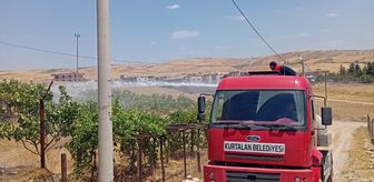 Siirt'te iki ayrı noktada çıkan yangınlar söndürüldü