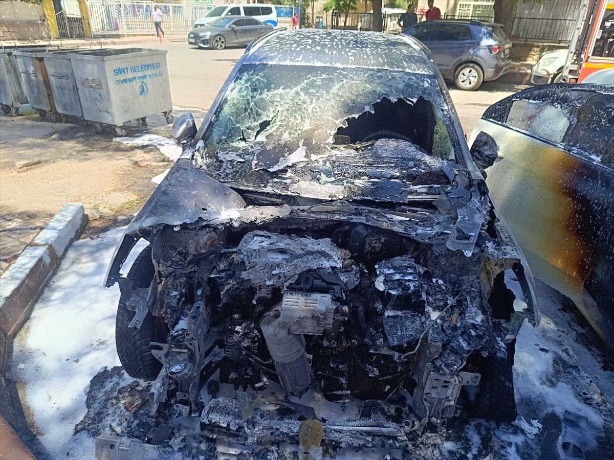 Siirt'te park halindeki 2 araç yandı