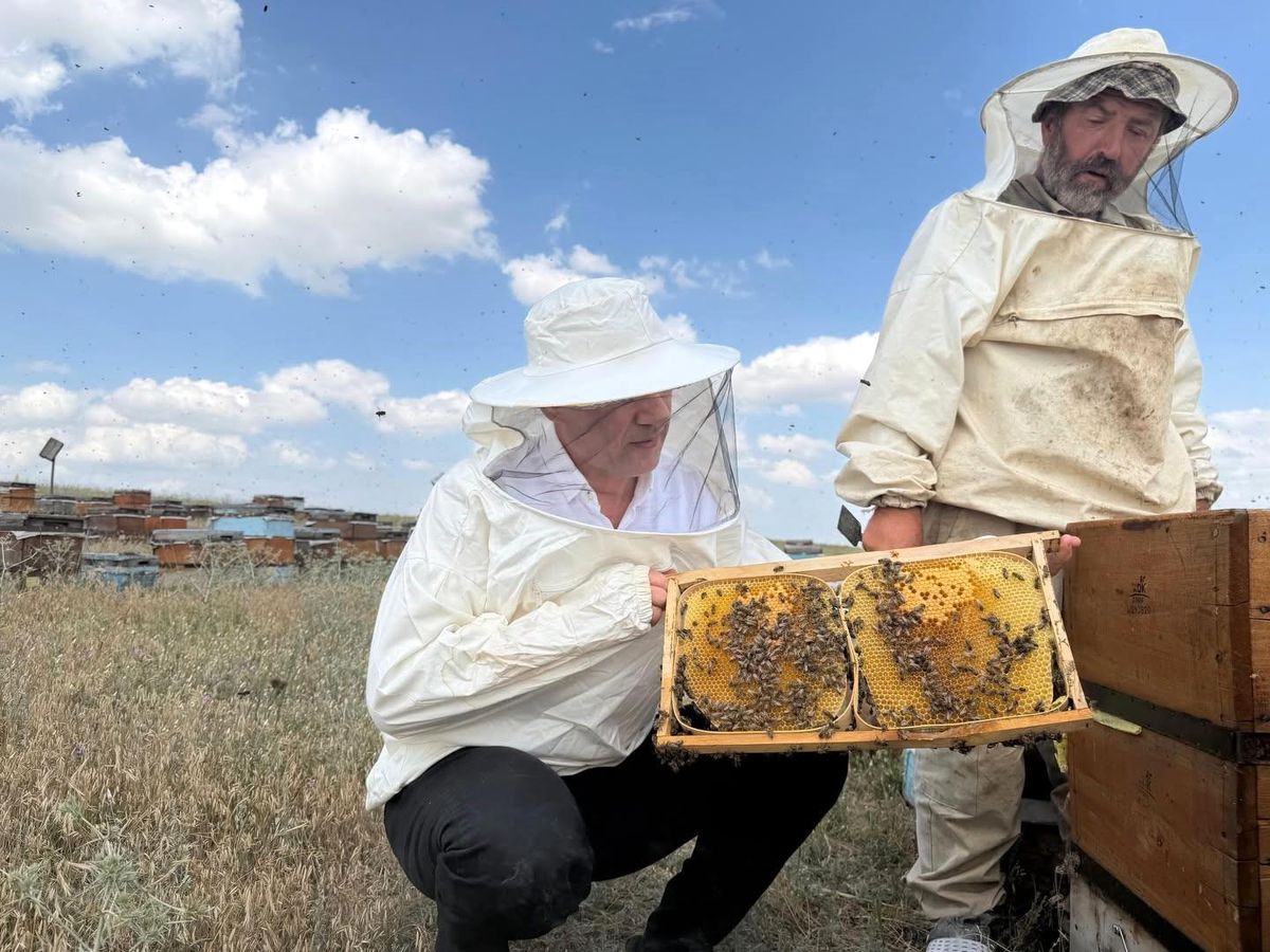 Tarım ve Orman Müdürü Aydın, Kars yaylalarında arıcılarla buluştu