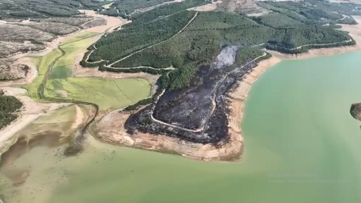 Tekirdağ Malkara'da orman yangını sonrası zarar gören alan