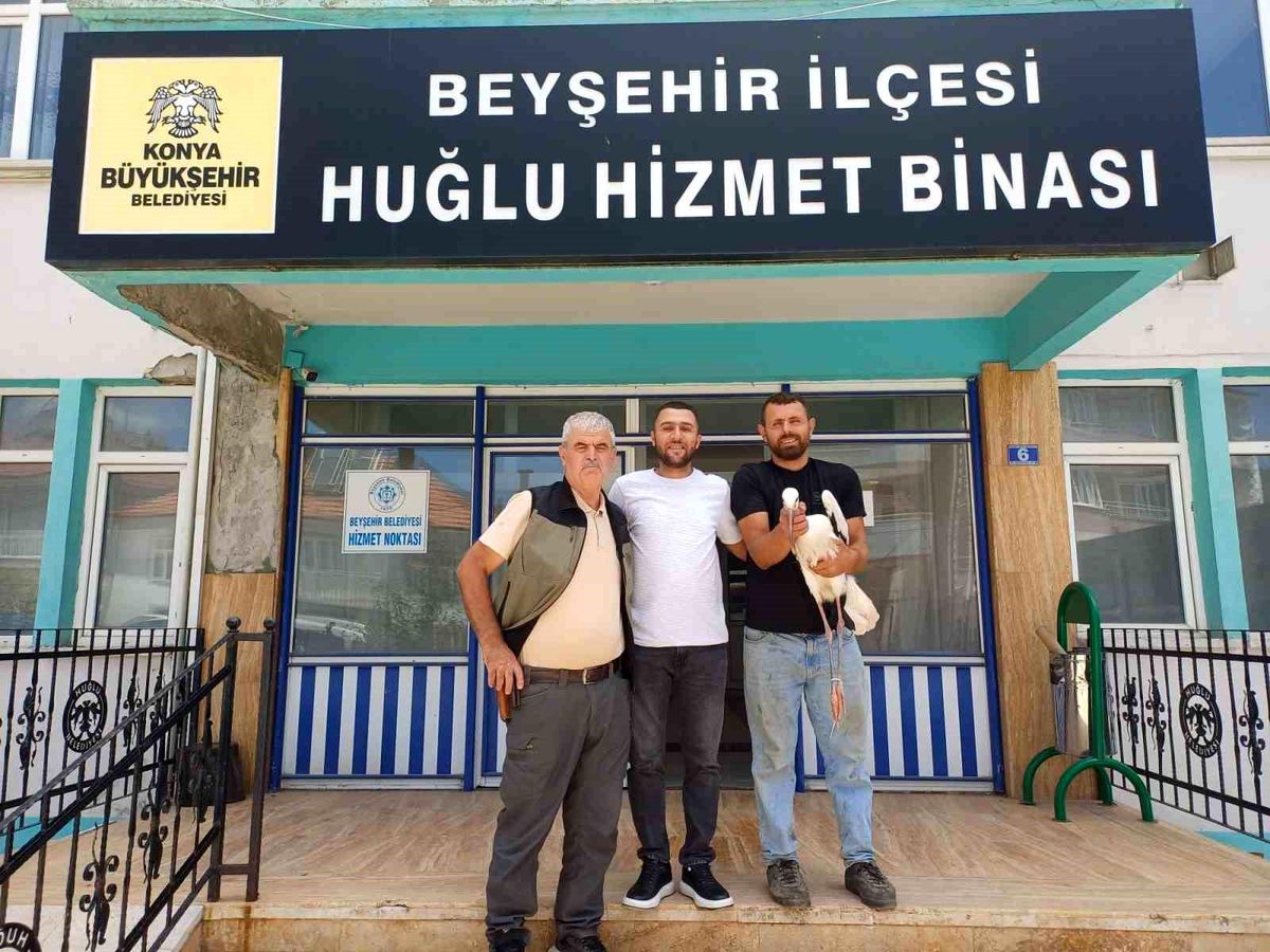 Yaralı leylek koruma altına alındı
