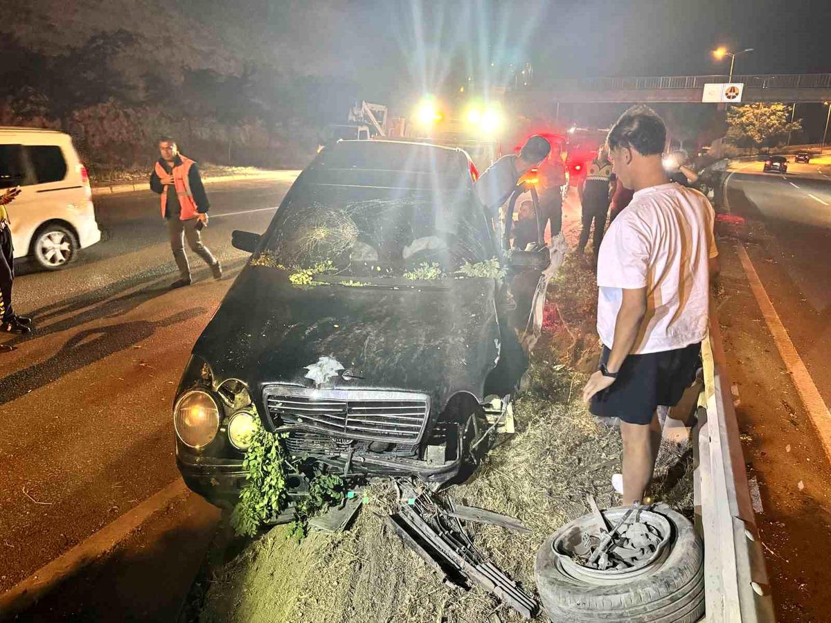 Safranbolu'da alkollü ve ehliyetsiz sürücünün çarptığı aydınlatma direği ve ağaçlar.