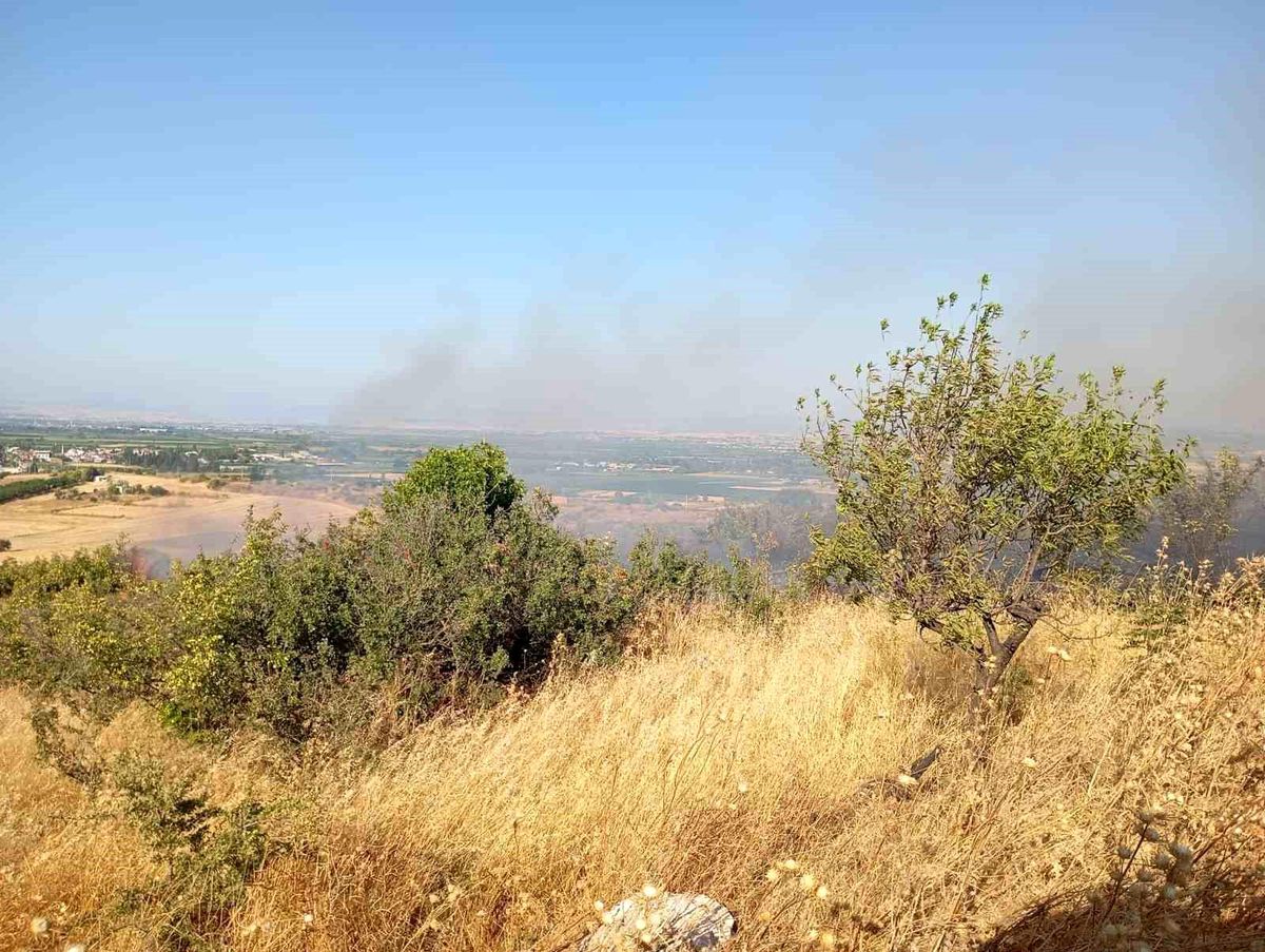 Balıkesir'de arazi yangınına Orman ve itfaiye ekipleri müdahale etti
