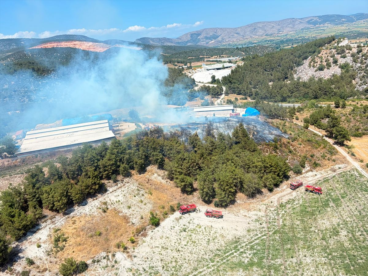 Bilecik'te çıkan orman yangını kontrol altına alındı