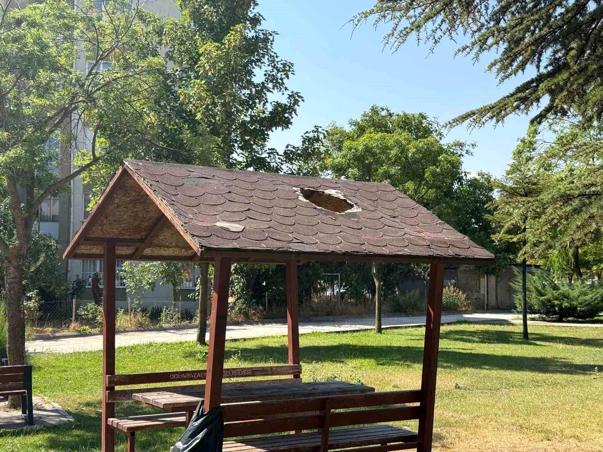 Eskişehir'de bir park kamelyasının çatısında oluşan delik.