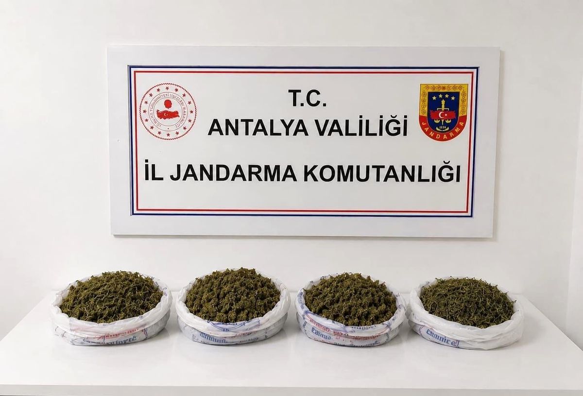 Alanya'da jandarma ekiplerinin evde yaptığı aramada ele geçirilen uyuşturucu maddeler.