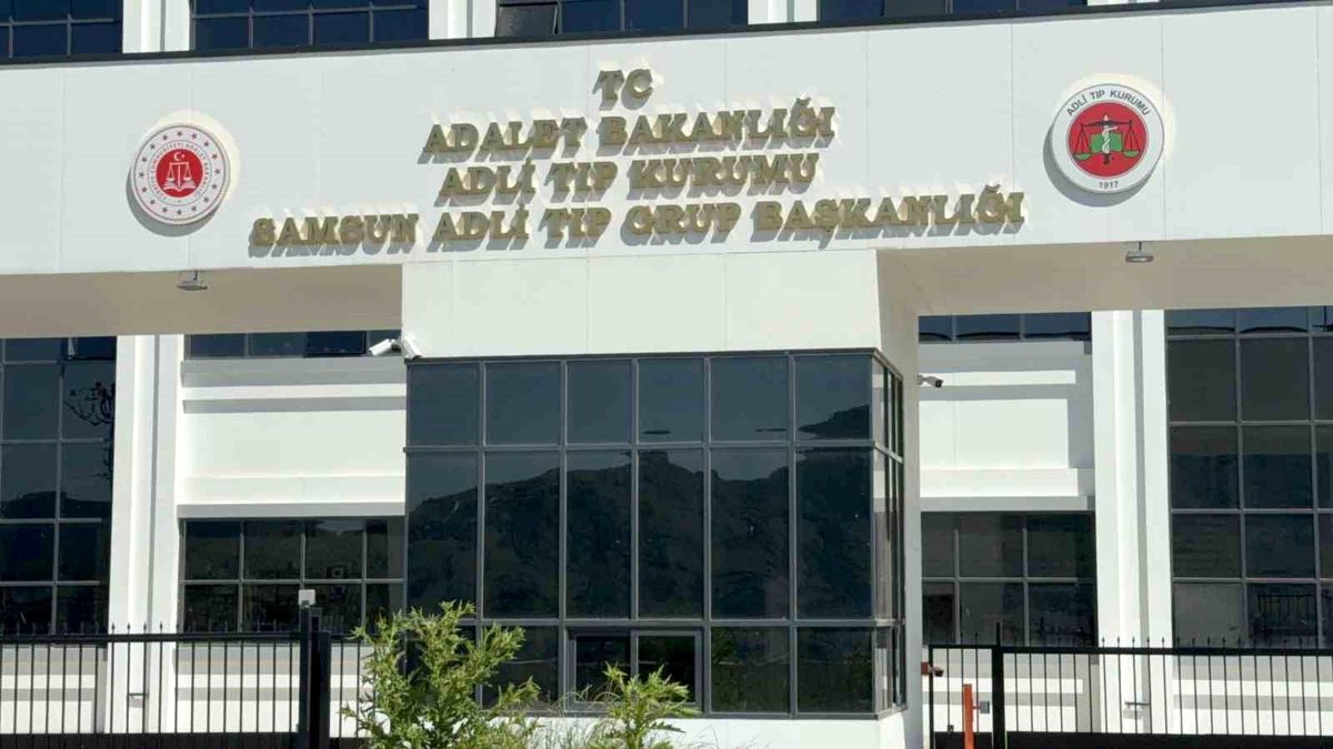 Ihlamur ağacından düşen yaşlı adam hayatını kaybetti