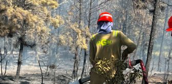 Kastamonu'da çıkan orman yangını söndürüldü
