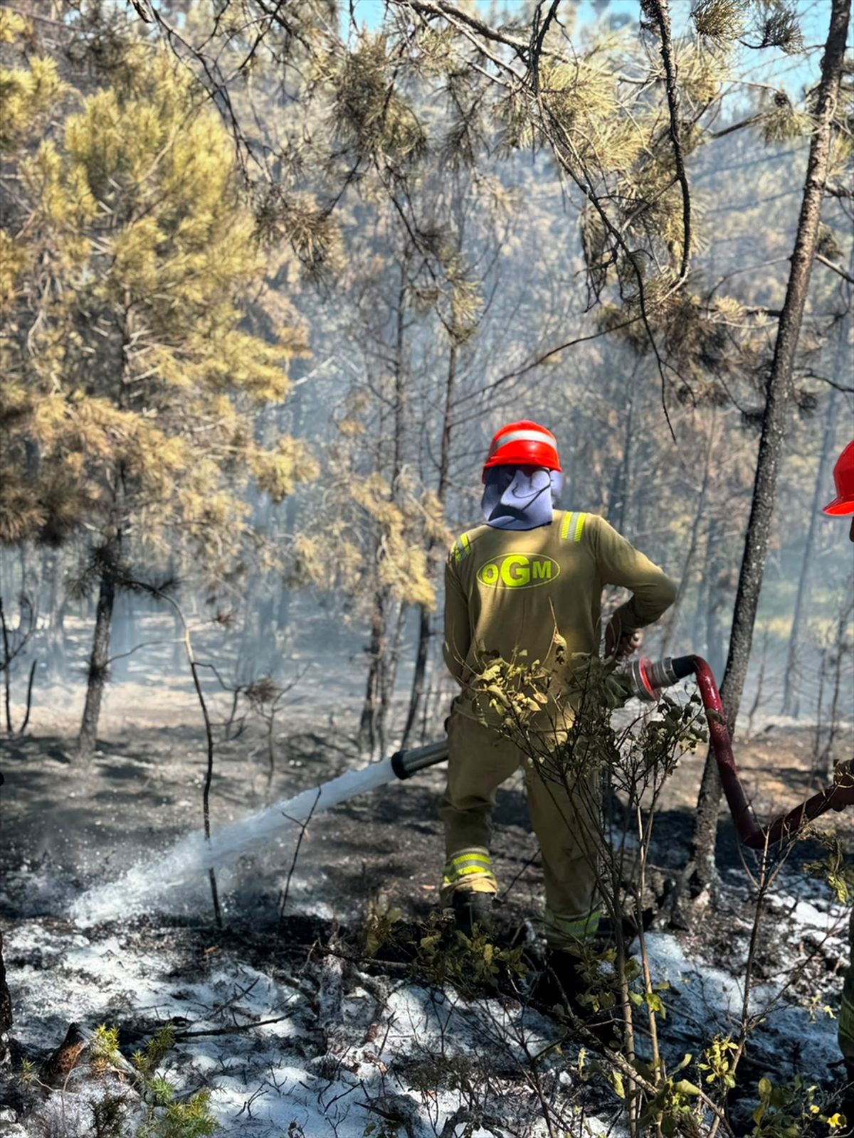 Kastamonu'da çıkan orman yangını söndürüldü