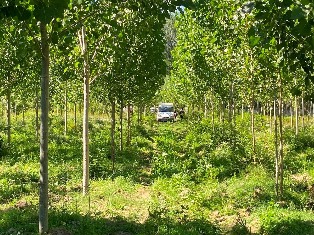 Kastamonu'da kavaklık alanda bir kişi ölü bulundu