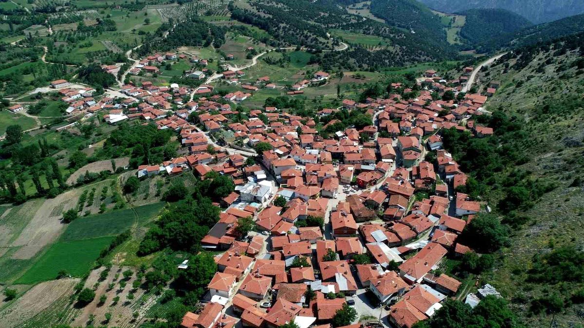 Sorgun beyaz peyniri coğrafi işaret tescili aldı.