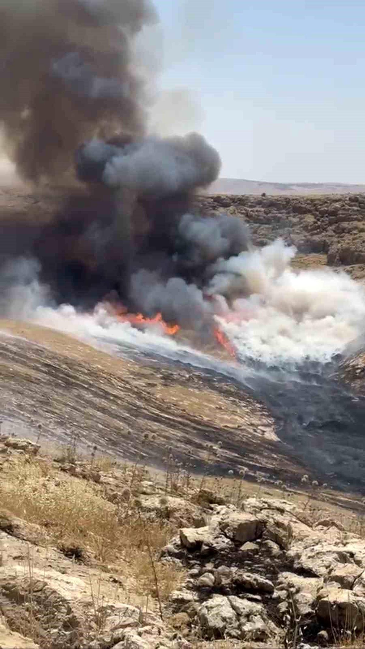 Mardin'de otluk alanda çıkan yangın sonrası itfaiye ekiplerinin müdahalesi.