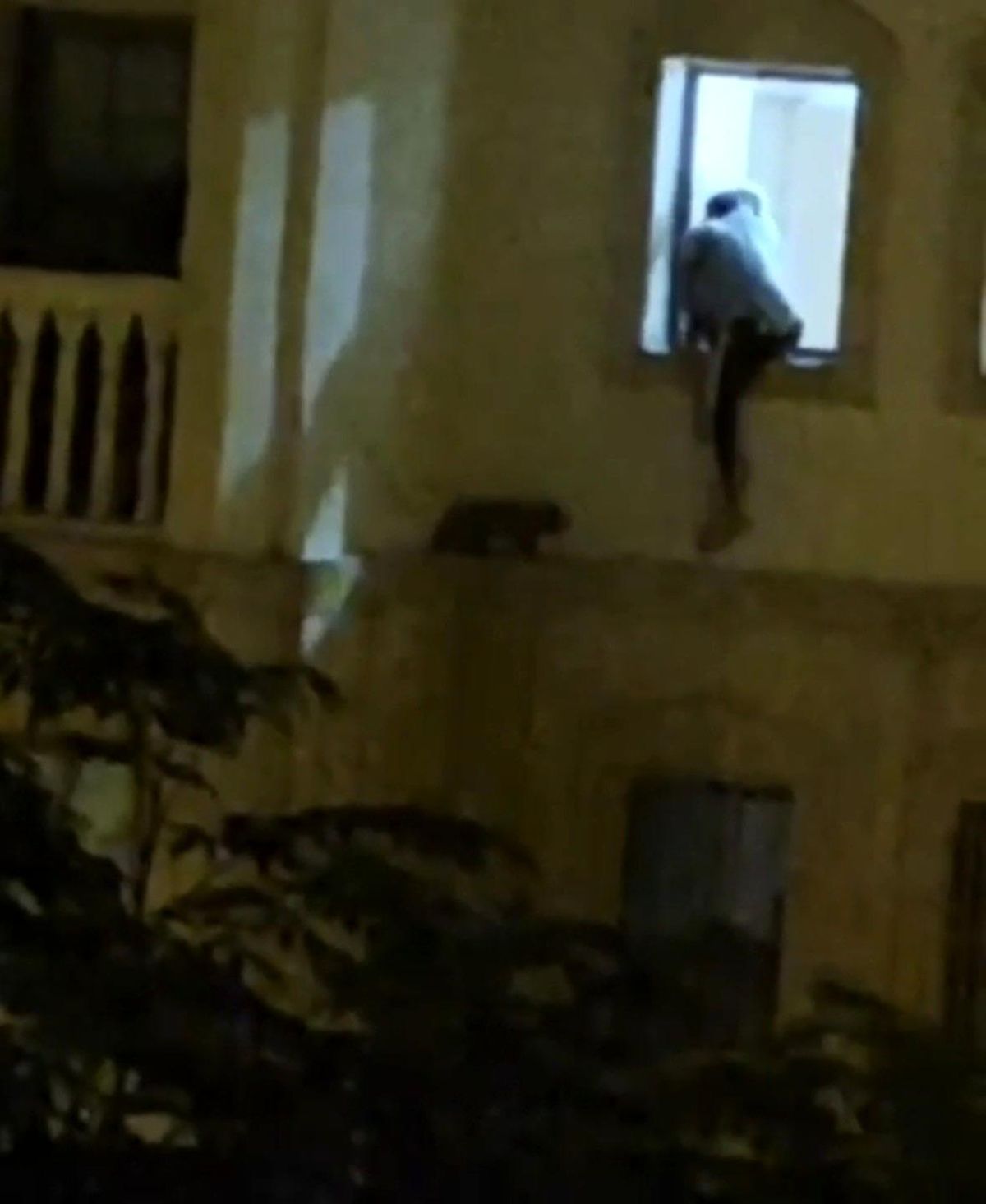 Mardin'in Nusaybin ilçesinde bir evin dış cephesinde mahsur kalan kedi, duyarlı bir vatandaş tarafından kurtarılıyor.