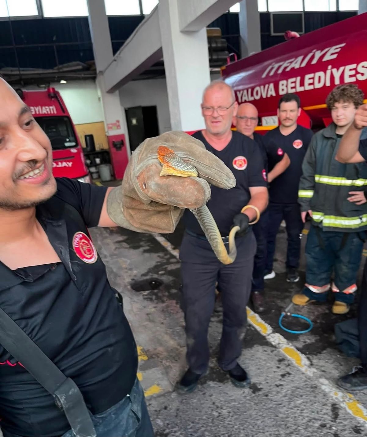 Yalova'da bir otomobilin içinde bulunan yılanın itfaiye ekipleri tarafından çıkarılması.