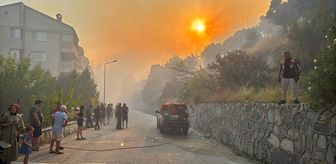 Aydın'da zeytinlik ve makilik alanda çıkan yangına müdahale ediliyor