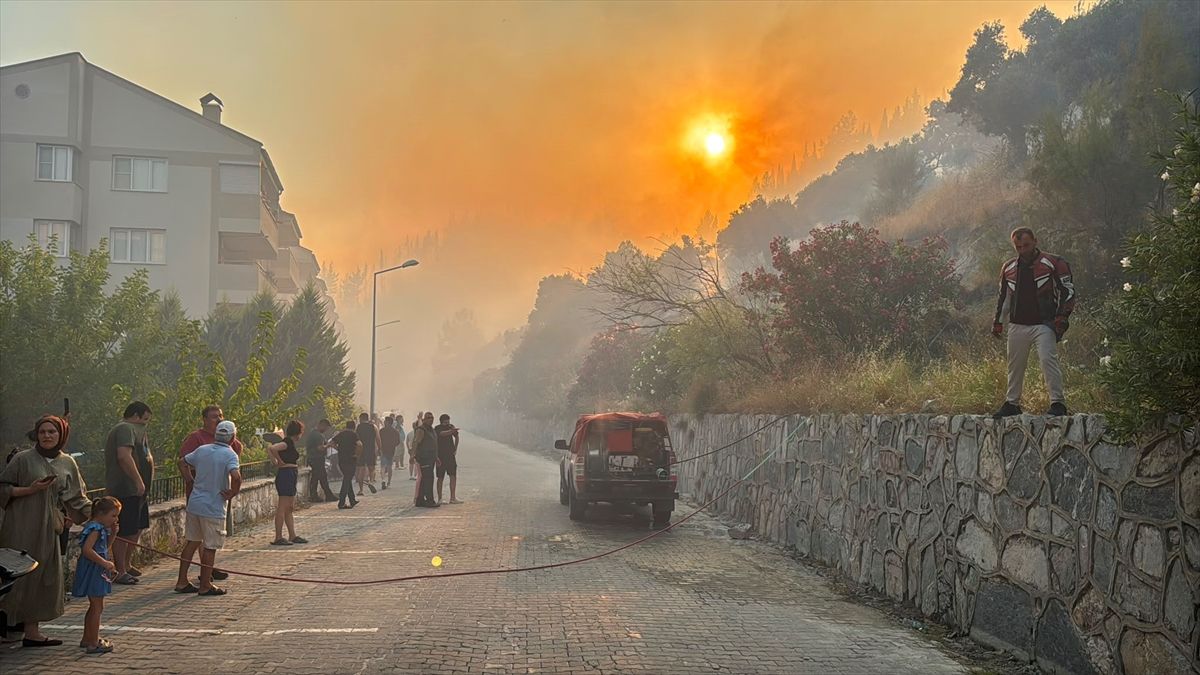 Aydın'da zeytinlik ve makilik alanda çıkan yangına müdahale ediliyor