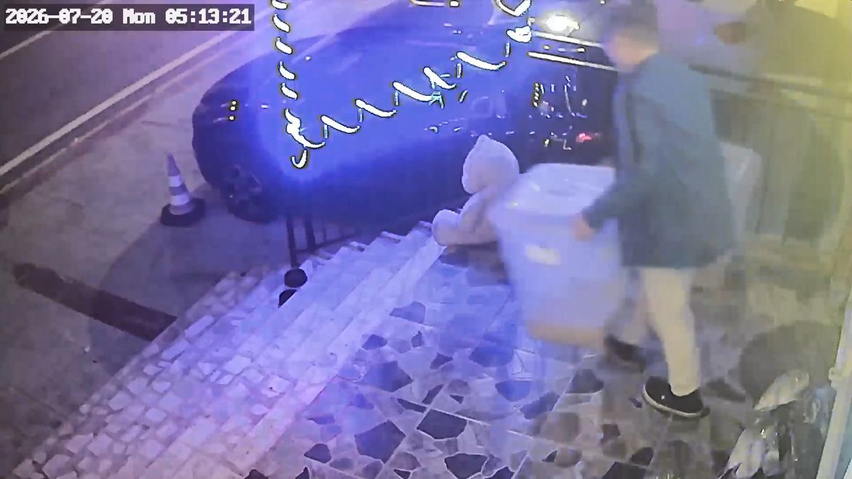 Dükkan önünde mama kutusu hırsızlığı kamerada