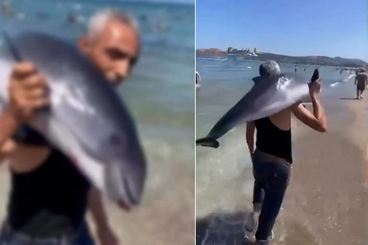 Bursa'dan akılalmaz görüntü! Yunusu sırtlayıp gözden kayboldu