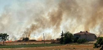 Kırklareli'nde çıkan anız yangınında 50 dekar tarım arazisi zarar gördü