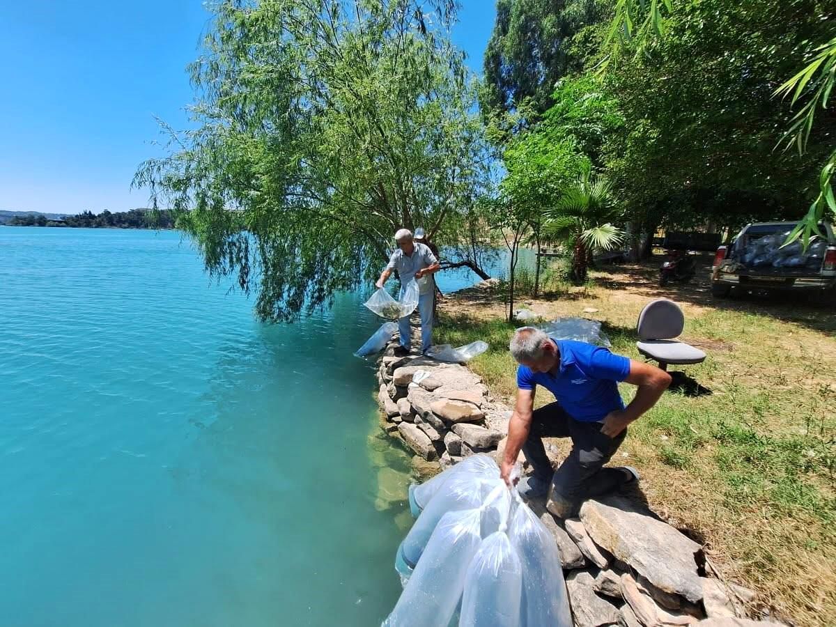 Manavgat'ta 400 bin balık yavrusu baraj gölünde bırakıldı