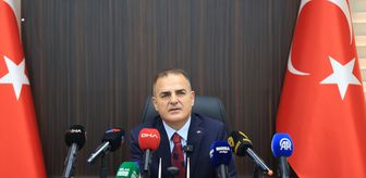 Muğla'da sahipsiz sokak hayvanlarının yüzde 97'si toplandı