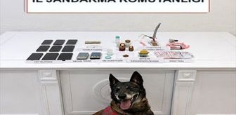Muğla'da uyuşturucu operasyonlarında yakalanan 5 zanlı tutuklandı