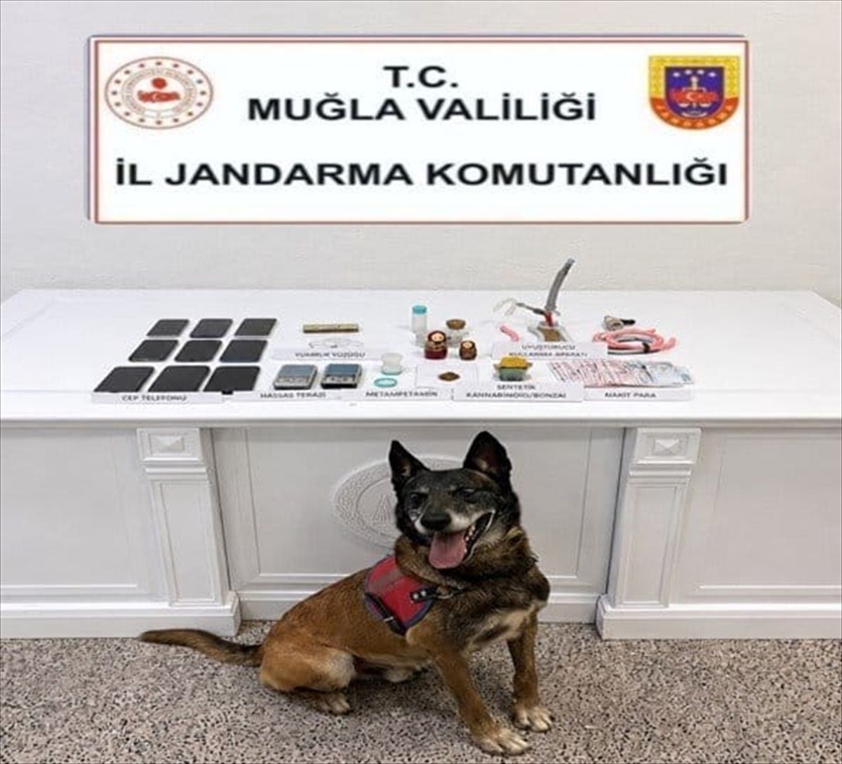 Muğla'da uyuşturucu operasyonlarında yakalanan 5 zanlı tutuklandı