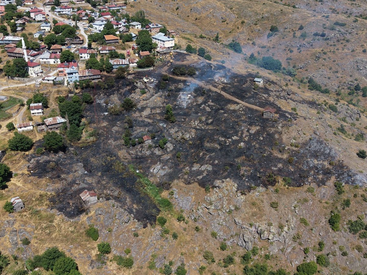Ordu'da çıkan örtü yangını söndürüldü