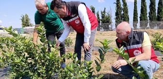 Tekirdağ'da sıfır atık uygulamalarıyla üretim yapan gıda işletmesi incelendi