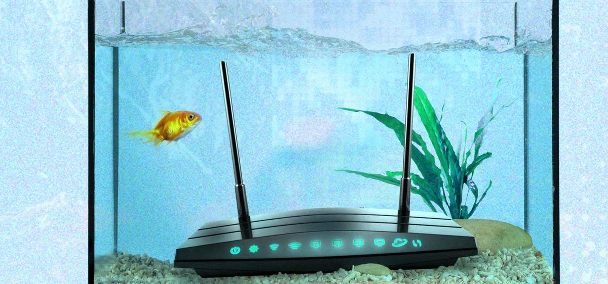 Wi-Fi sinyallerini etkileyen sıradışı faktörler ve çözümlerini gösteren bir görsel.