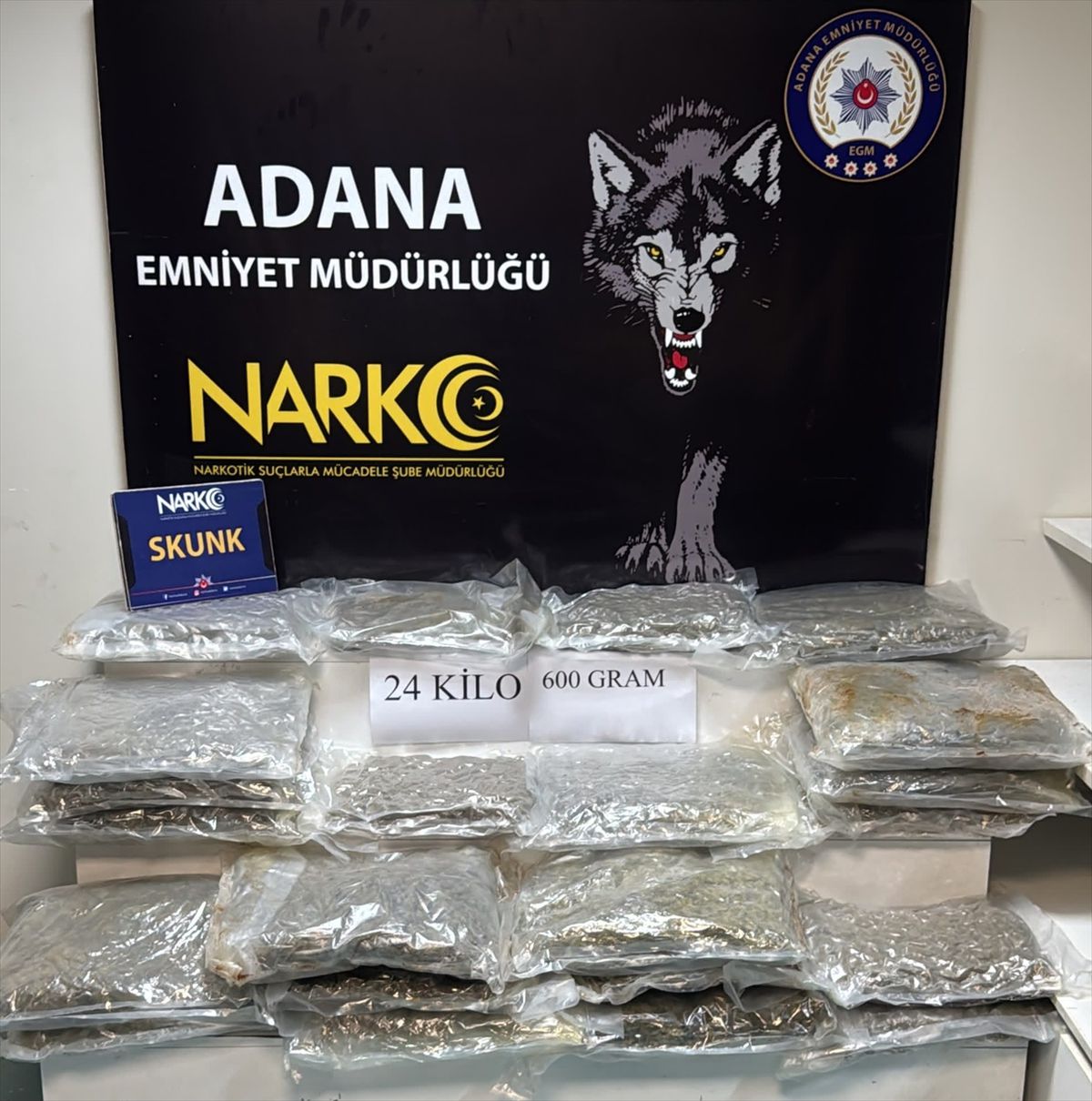 Adana'da tırda 24 kilo 600 gram sentetik uyuşturucu ele geçirildi