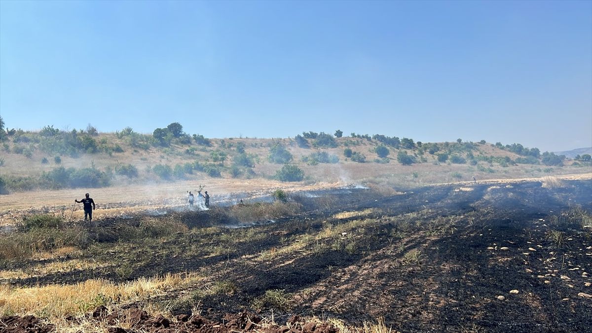 Aydıncık'ta çıkan anız yangını söndürüldü