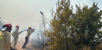 Balıkesir'de çıkan orman yangınına müdahale ediliyor