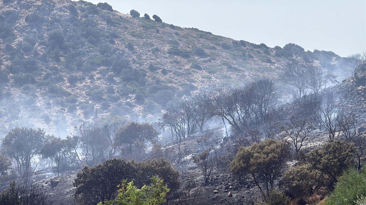 Bodrum'da Otluk ve Makilik Alanda Yangın Çıktı