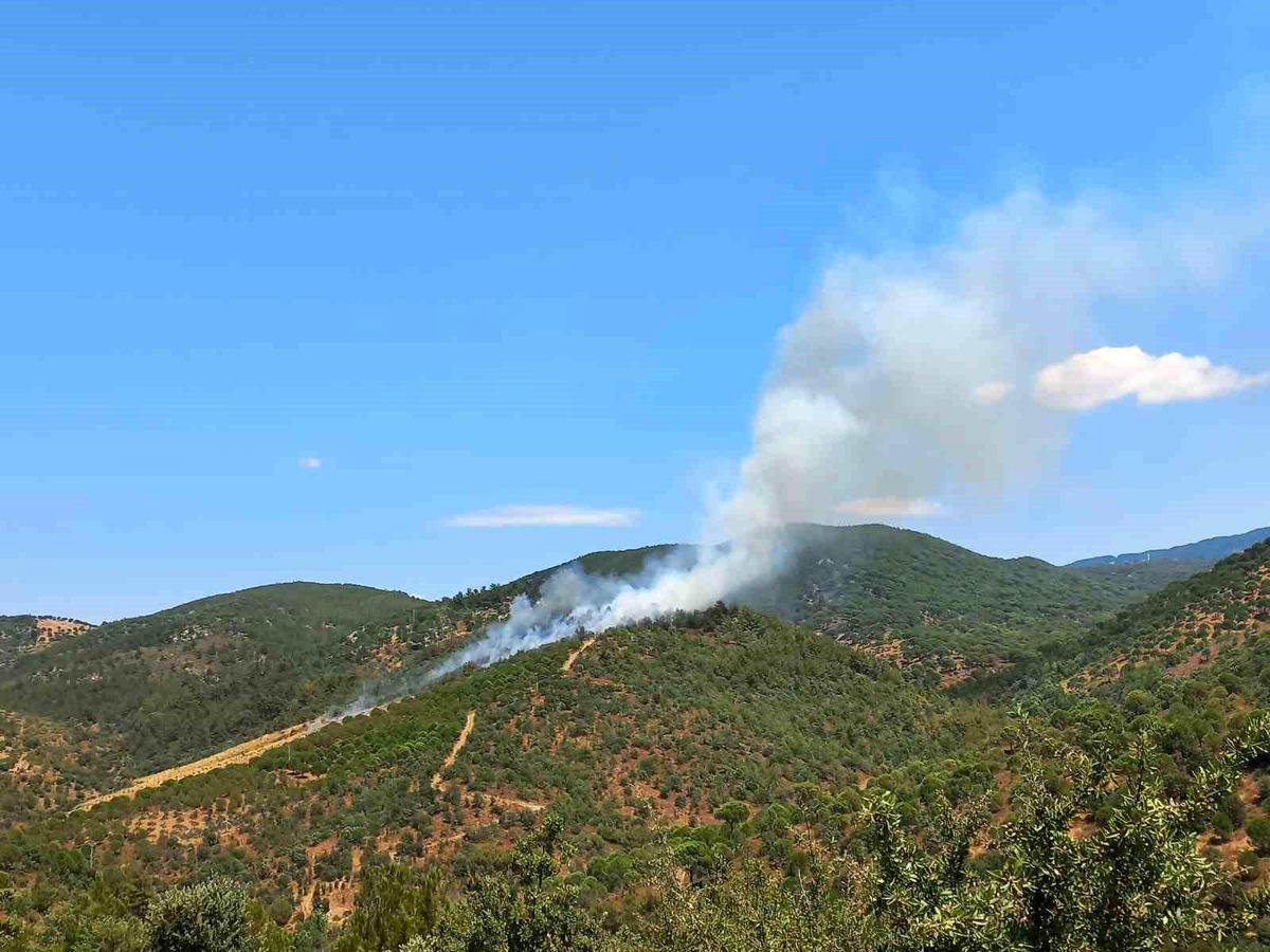 Balıkesir Burhaniye'de orman yangını söndürme çalışmaları