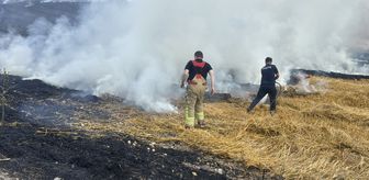 Edirne'de anızlık alandaki yangında 30 dekar tarım arazisi zarar gördü