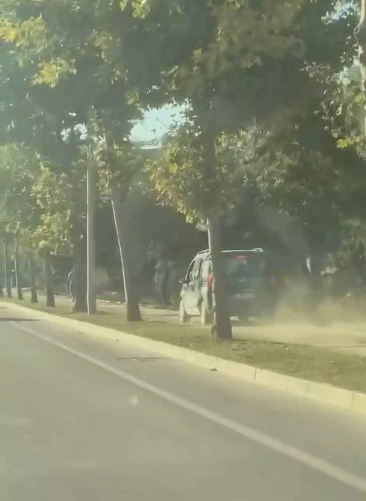 Bursa'da Hafif Ticari Araç Sürücüsü Yayalardan Yol Vermelerini İstedi