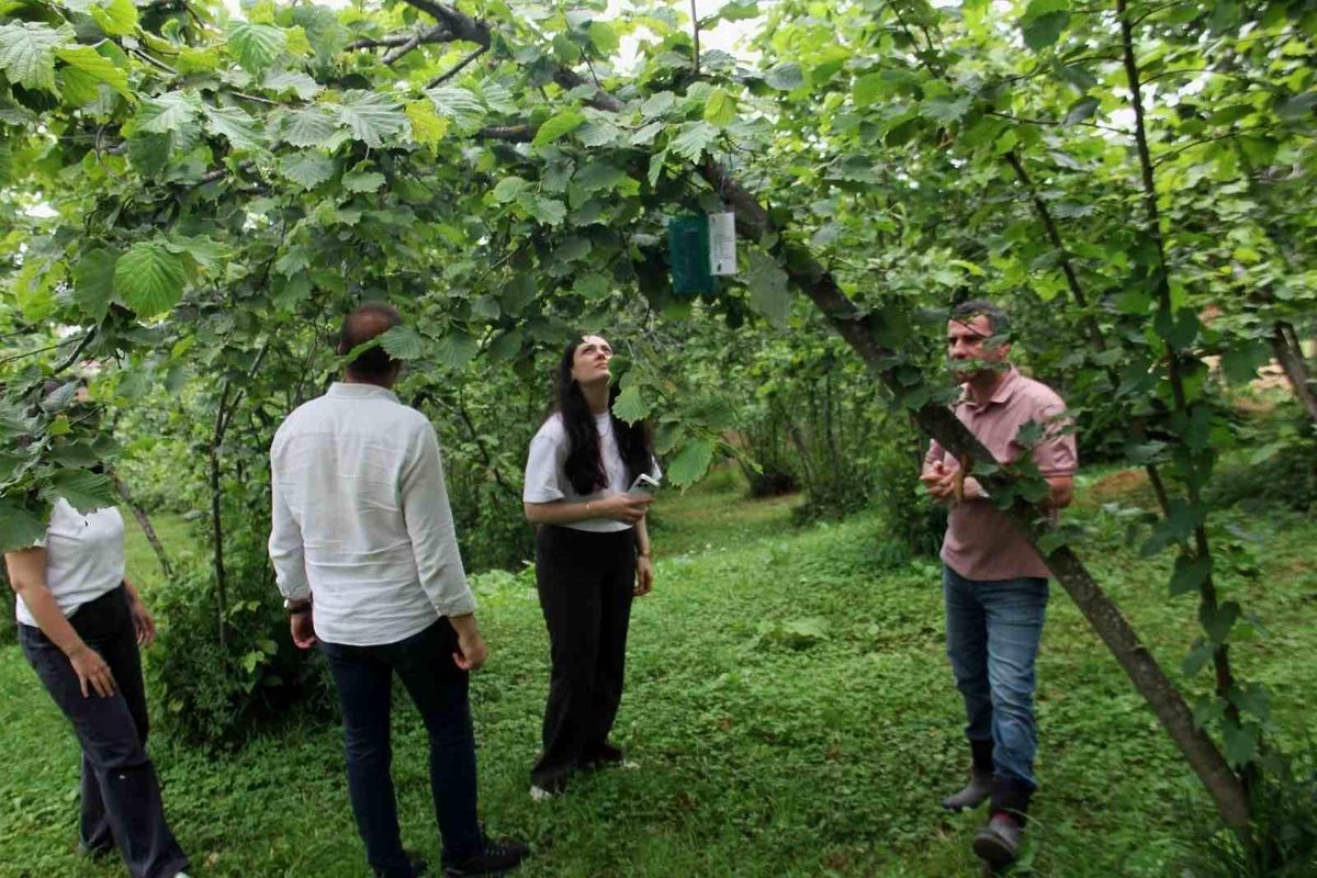 Karadeniz Havzası'nda 3 ülkeden tarımsal iş birliği