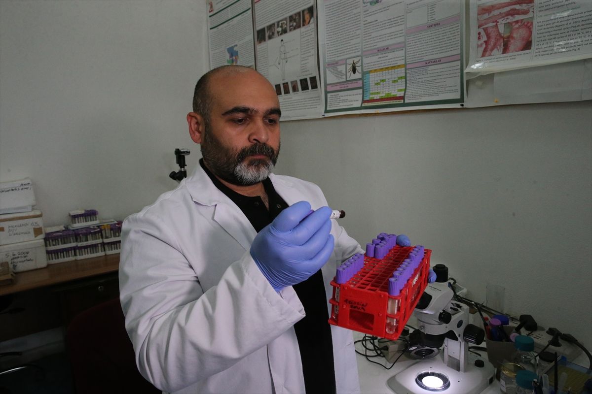 Kenelere karşı 'dikkatli olunması ancak panik yapılmaması' uyarısı