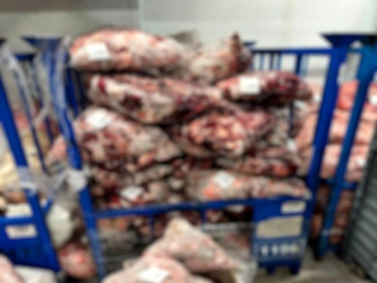 Lüleburgaz'da uygunsuz şartlarda saklanan 4 ton 600 kilo ete el konuldu