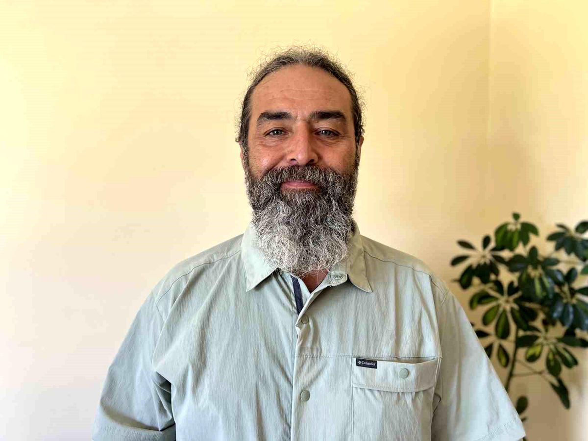 Mersin sahillerinde zehirli çizgili kedi balığı uyarısı
