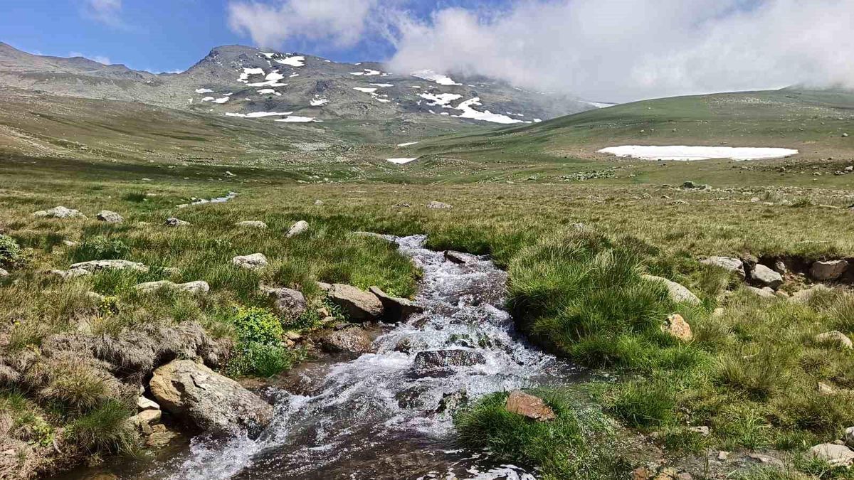 Ordu'nun yüksek kesimlerindeki yaylalardan birinde yaz mevsiminde kar ve yeşilin bir arada göründüğü manzara.
