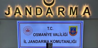 Osmaniye'de asayiş uygulaması yapıldı