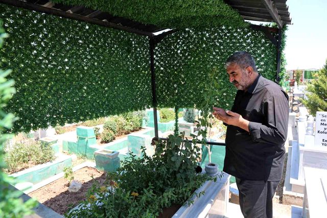 Rojin Kabaiş soruşturmasında skandal ihmal: Dosyayı aydınlatacak detay atlanmış 4 rojin kabais in uzerindeki kiyafetlerden dna 2 20072219 o